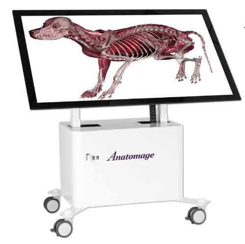 Mesa de Anatomia 3D (VET), Table VET - Fabricante Anatomage.(SL-502/3D-VET)