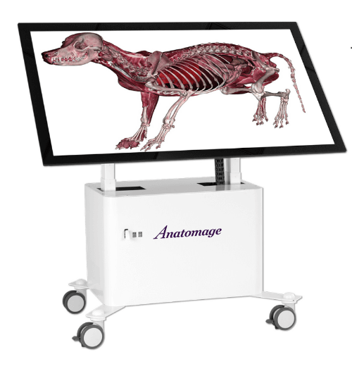 Mesa de Anatomia 3D (VET), Table VET - Fabricante Anatomage.(SL-502/3D-VET)